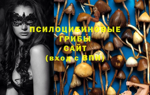 стаф Баксан