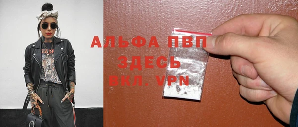 твердый Осташков