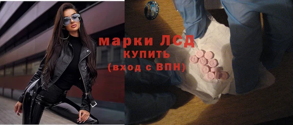 гидра Арсеньев