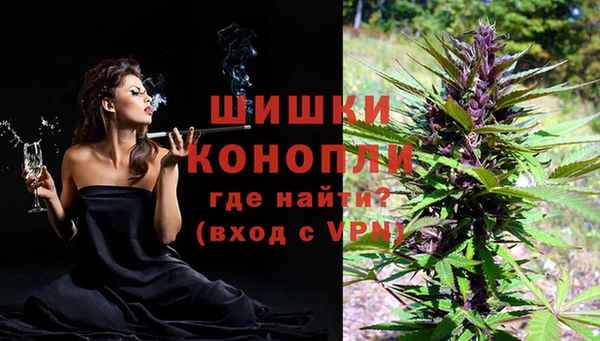 стаф Баксан