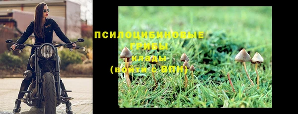 стаф Баксан